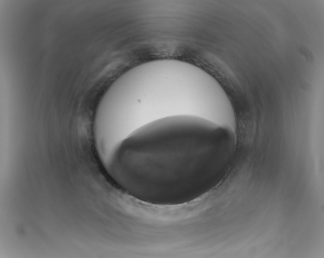 X0000110860035200907021425