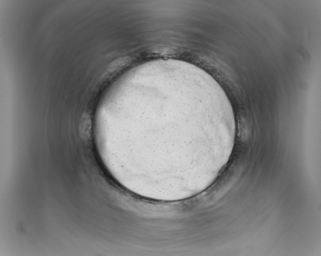 X0000110860036200907021425