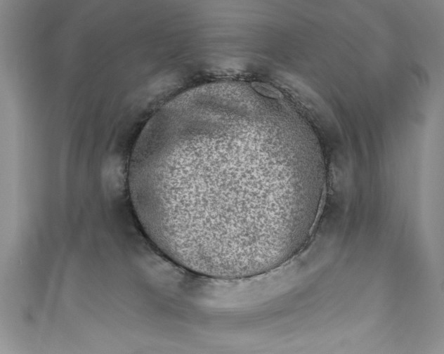 X0000110860037200907021425