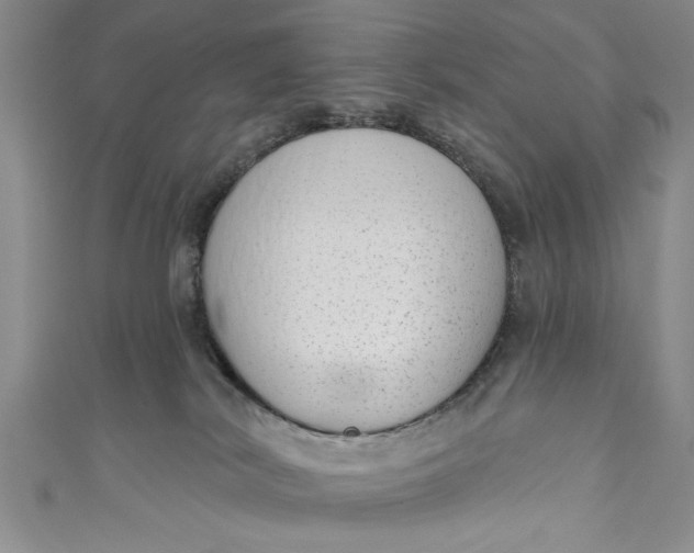 X0000110860038200907021425