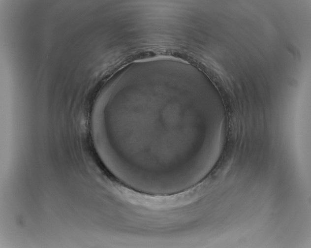 X0000110860039200907021425