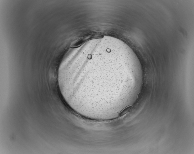 X0000110860040200907021425