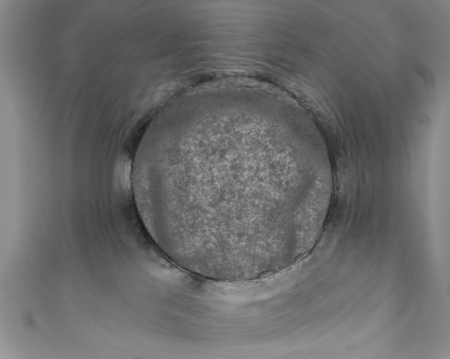 X0000110860041200907021425