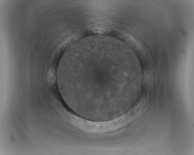 X0000110860043200907021424