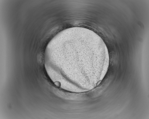 X0000110860044200907021424