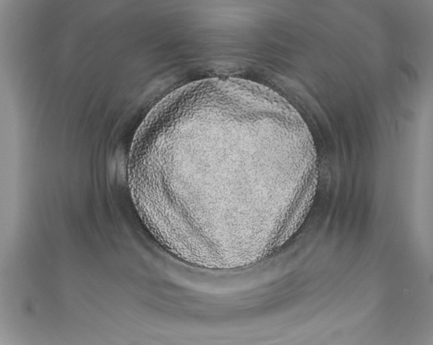 X0000110860046200907021424