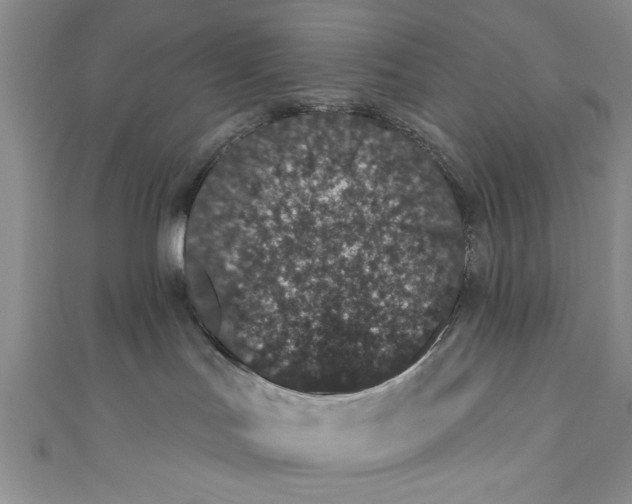 X0000110860047200907021424