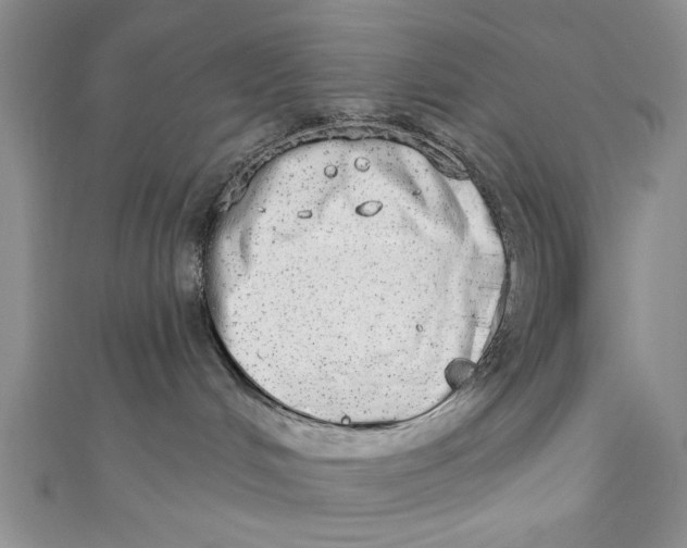 X0000110860048200907021424