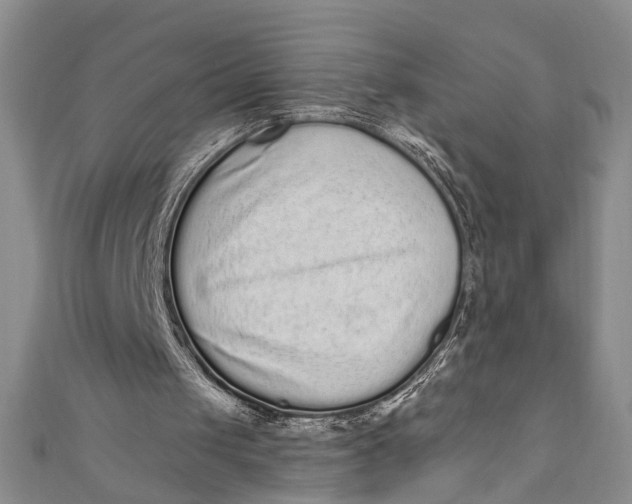 X0000110860049200907021424