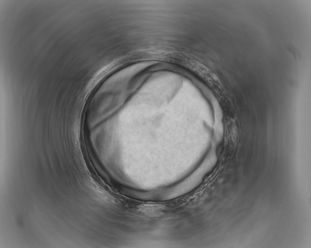 X0000110860051200907021424