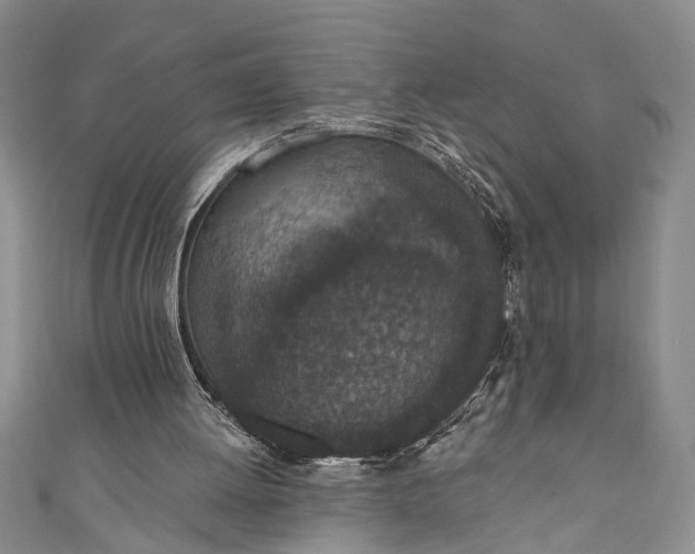 X0000110860052200907021424