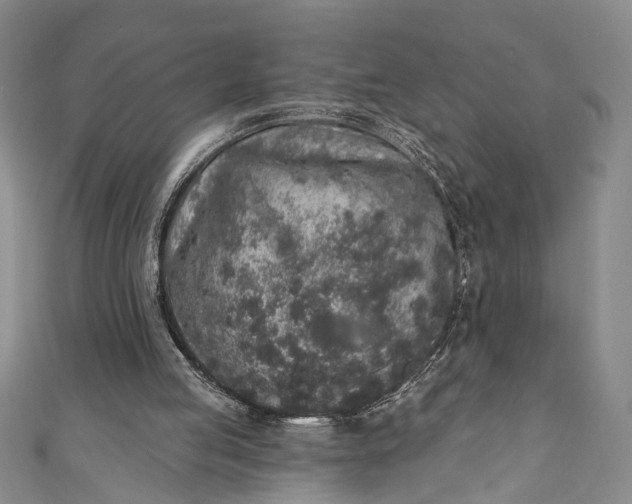 X0000110860053200907021424