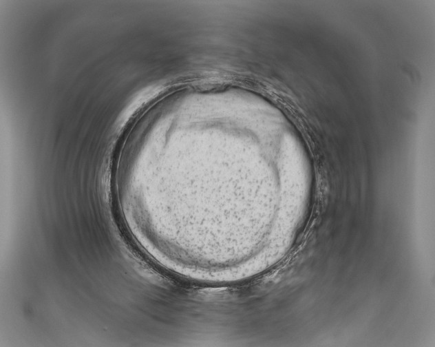 X0000110860054200907021424