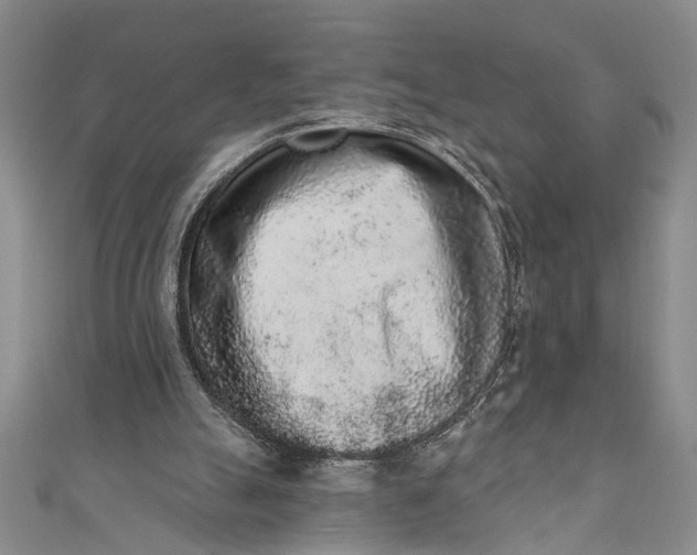 X0000110860055200907021424