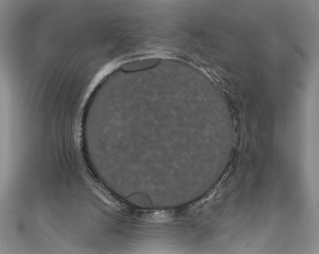 X0000110860056200907021424