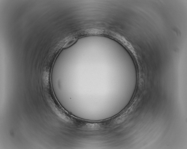 X0000110860057200907021424