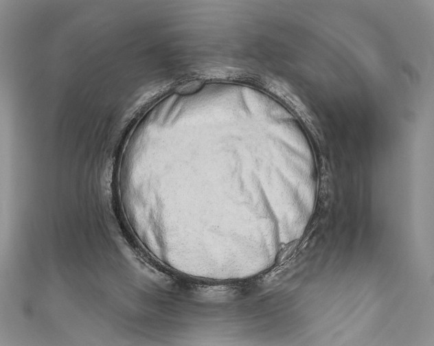 X0000110860058200907021424