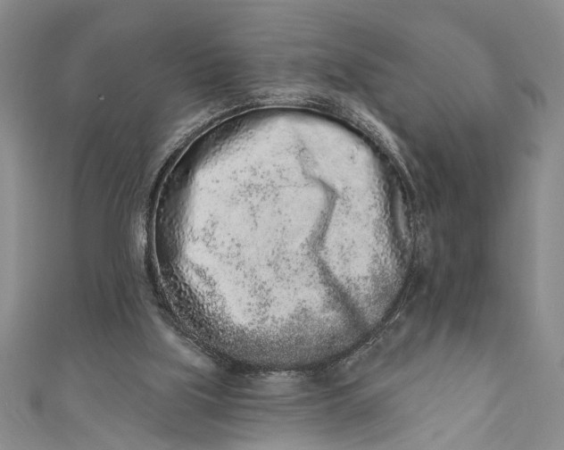 X0000110860059200907021424