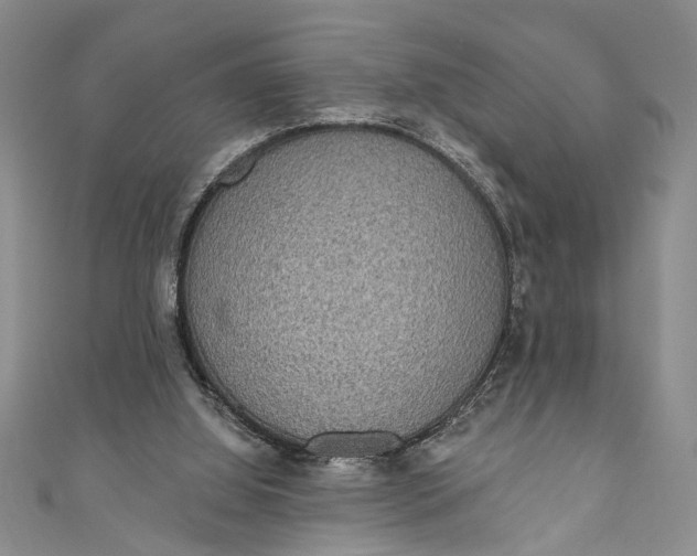 X0000110860060200907021424