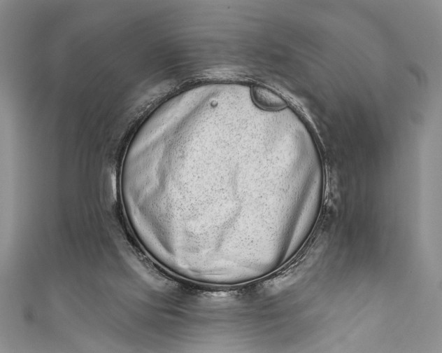 X0000110860061200907021424