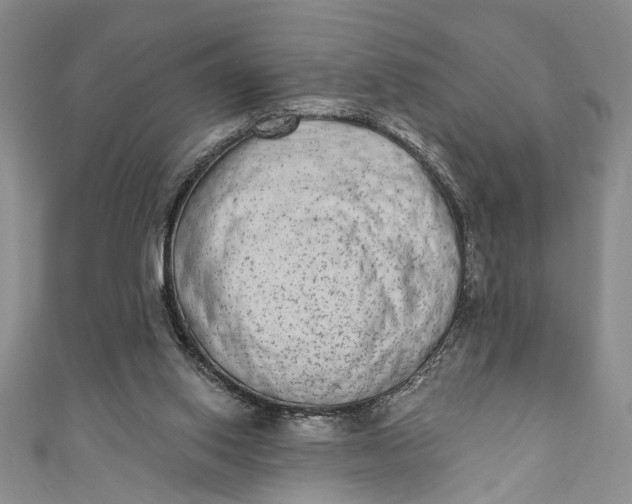 X0000110860062200907021424