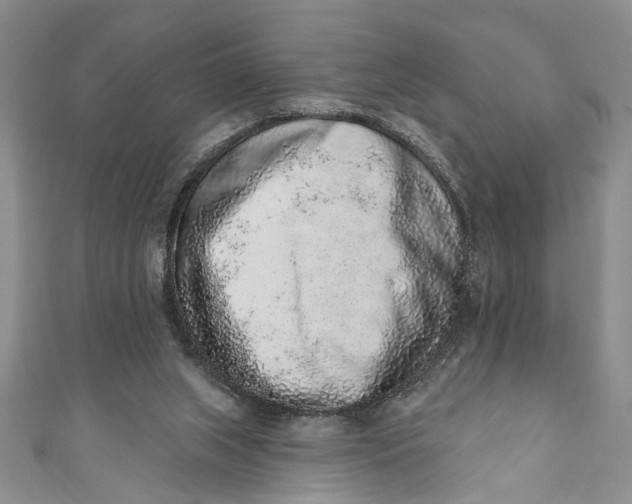 X0000110860063200907021424