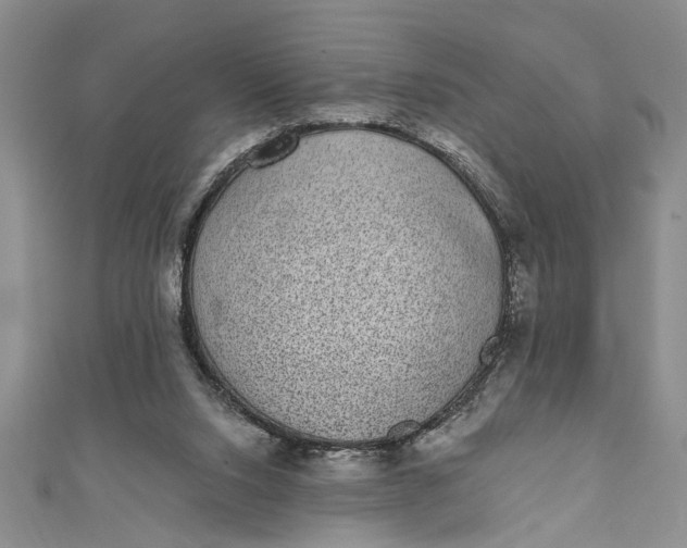 X0000110860064200907021424