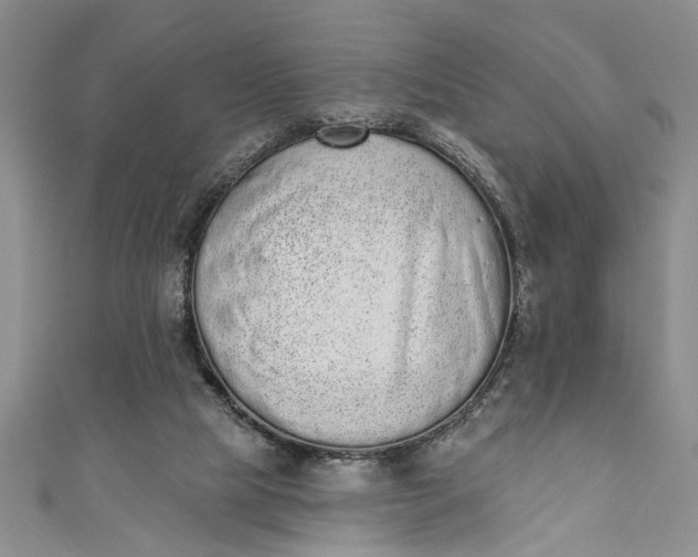 X0000110860065200907021424