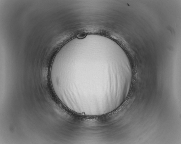 X0000110860066200907021424