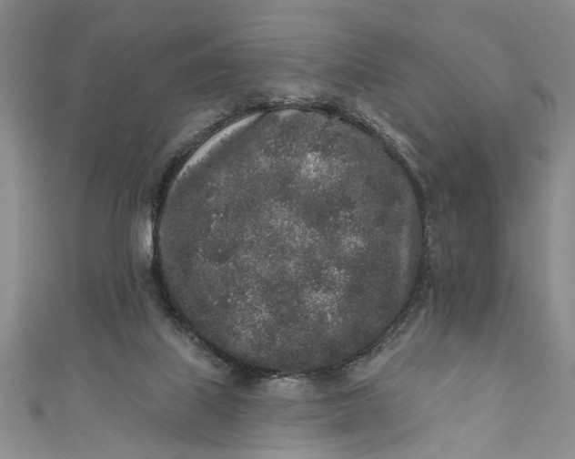 X0000110860067200907021424