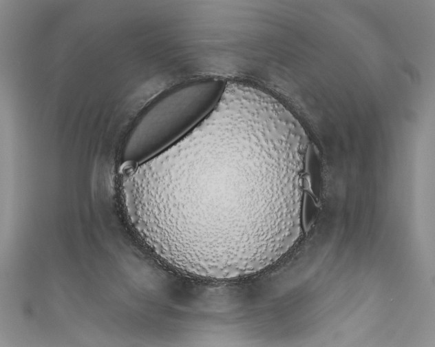 X0000110860068200907021424