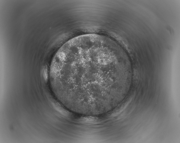 X0000110860069200907021424