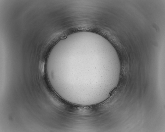 X0000110860070200907021424