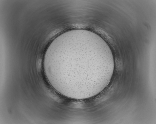 X0000110860071200907021424