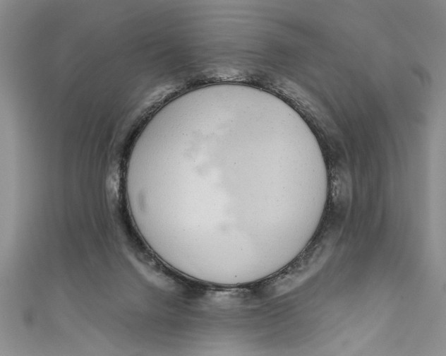 X0000110860072200907021424