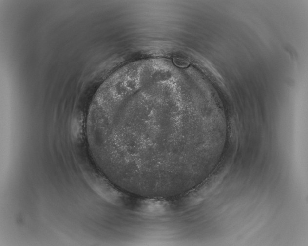 X0000110860073200907021424