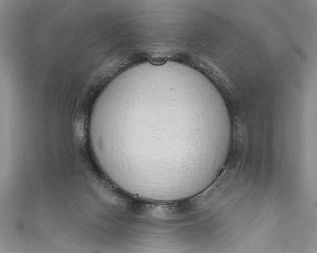 X0000110860074200907021424