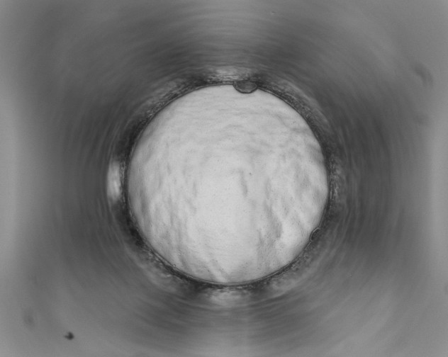 X0000110860075200907021424