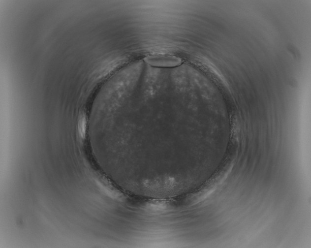 X0000110860076200907021424