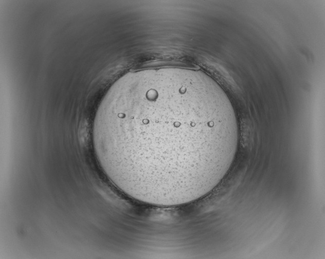 X0000110860077200907021424