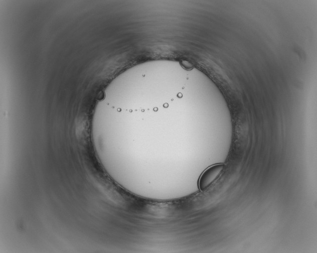 X0000110860079200907021424