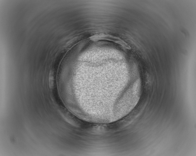 X0000110860080200907021424