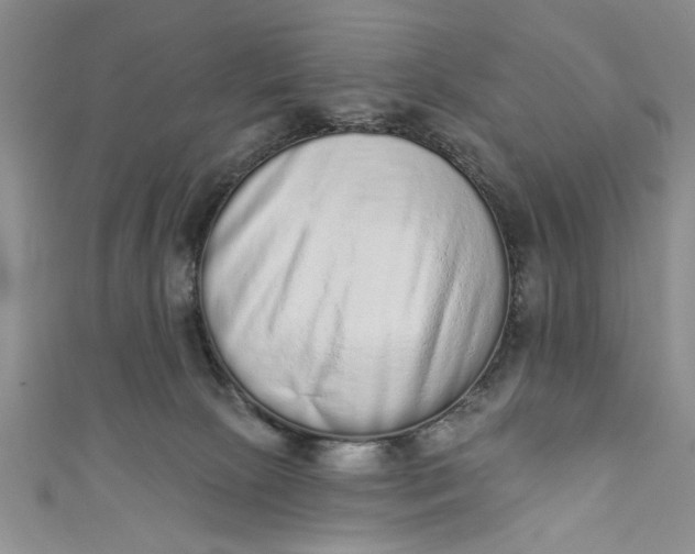 X0000110860081200907021424