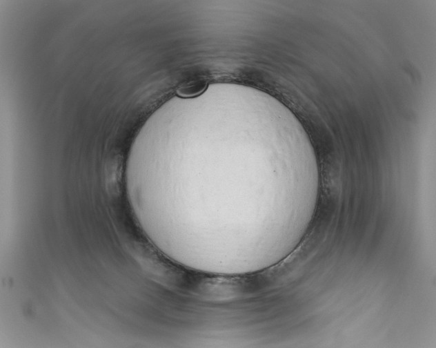 X0000110860082200907021424