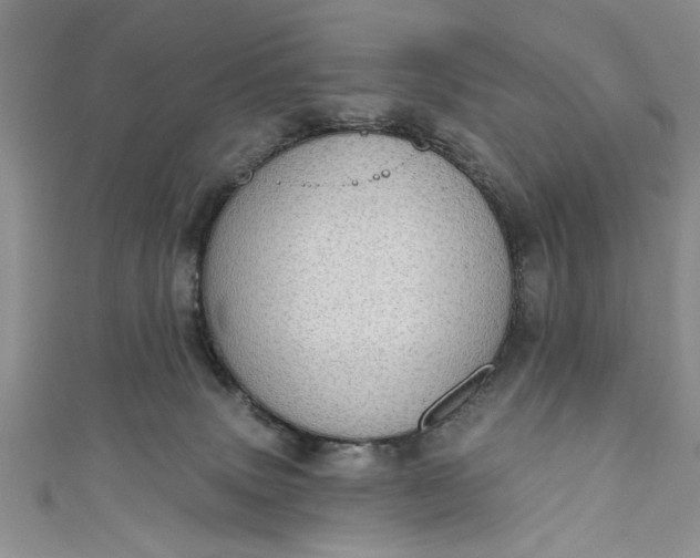 X0000110860083200907021424