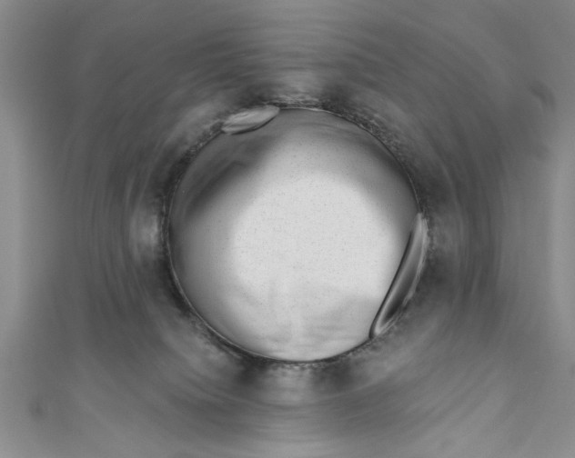 X0000110860084200907021424