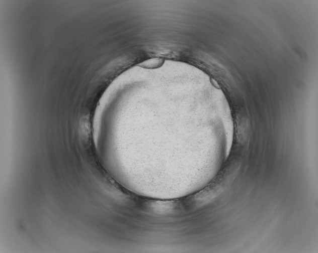 X0000110860085200907021424