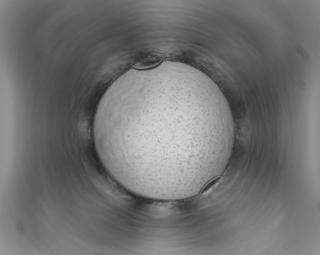 X0000110860086200907021424