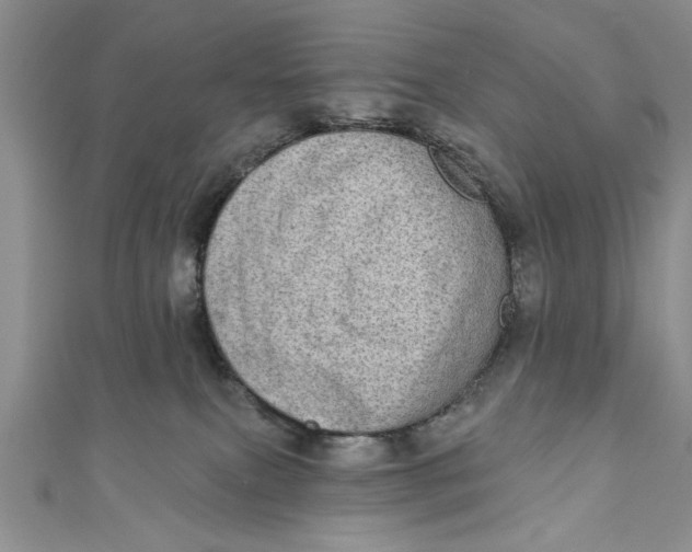 X0000110860087200907021424