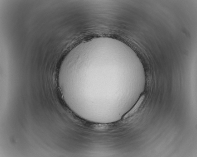 X0000110860088200907021424